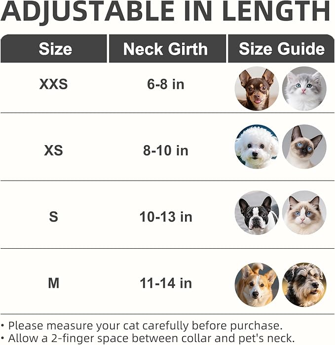 PUPTECK Basic Adjustable Cat Collar with Bling Diamond and Double Bells, for Kitten and Small Puppy, Fashion and Shining Dog Rhinestone Collars, 6-8 in, Gold