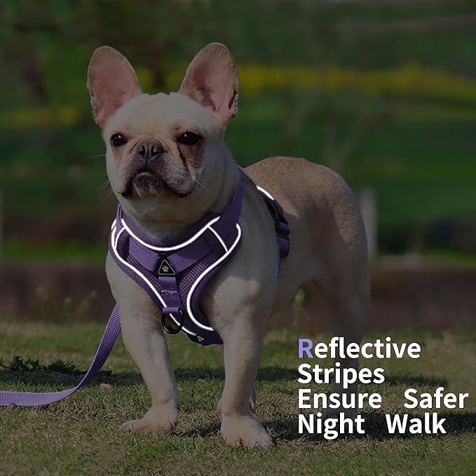 No Pull Dog Harness with Leash Set for Small Sized Dog, Reflective Adjustable No Choke Front Clip Cat Vest Harness with Breathable Mesh, Comfortable Soft Padded Pet Vest, Purple L