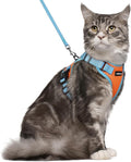 rabbitgoo Cat Harness and Leash Set, Escape Proof Soft Adjustable Vest Harnesses for Outdoor Walking, Easy Control Breathable Kitten Jacket with Reflective Strips, Orange & Light Blue, M