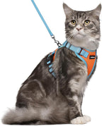 rabbitgoo Cat Harness and Leash Set, Escape Proof Soft Adjustable Vest Harnesses for Outdoor Walking, Easy Control Breathable Kitten Jacket with Reflective Strips, Orange & Light Blue, M