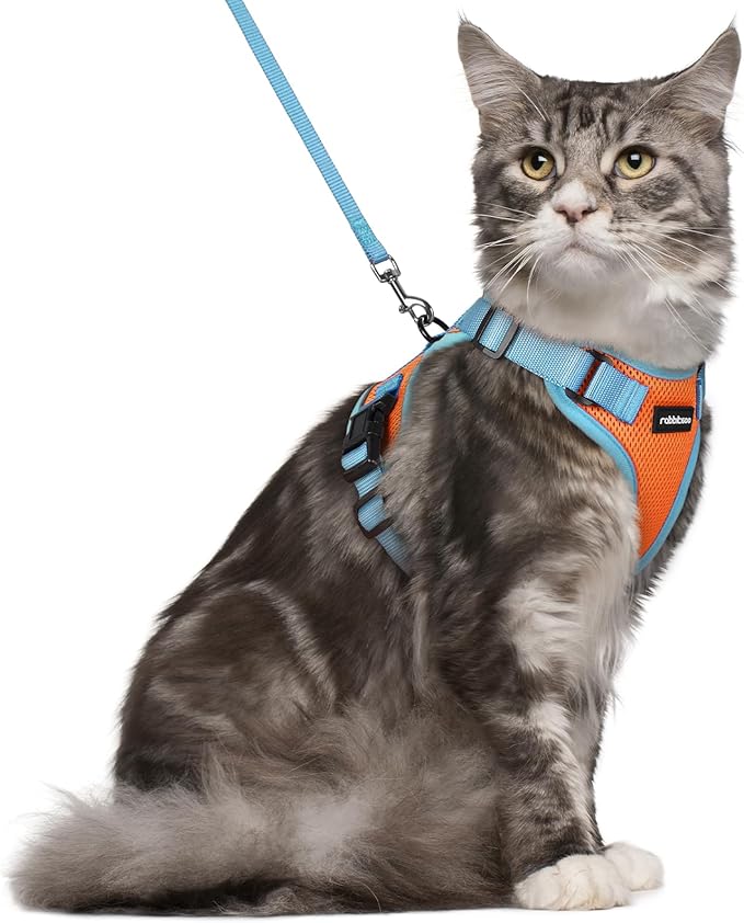 rabbitgoo Cat Harness and Leash Set, Escape Proof Soft Adjustable Vest Harnesses for Outdoor Walking, Easy Control Breathable Kitten Jacket with Reflective Strips, Orange & Light Blue, M