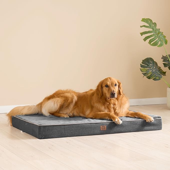 EHEYCIGA Waterproof Dog Bed Orthopedic 41"x27", Memory Foam Pet Bed for XLarged Dogs, Washable Pet Mat with Removable Cover, Dark Grey