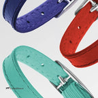 CollarDirect Leather Cat Collar, Cat Safety Collar with Elastic Strap, Kitten Collar with Bell Black Blue Red Orange Lime Green (6-7 Inch, Red)
