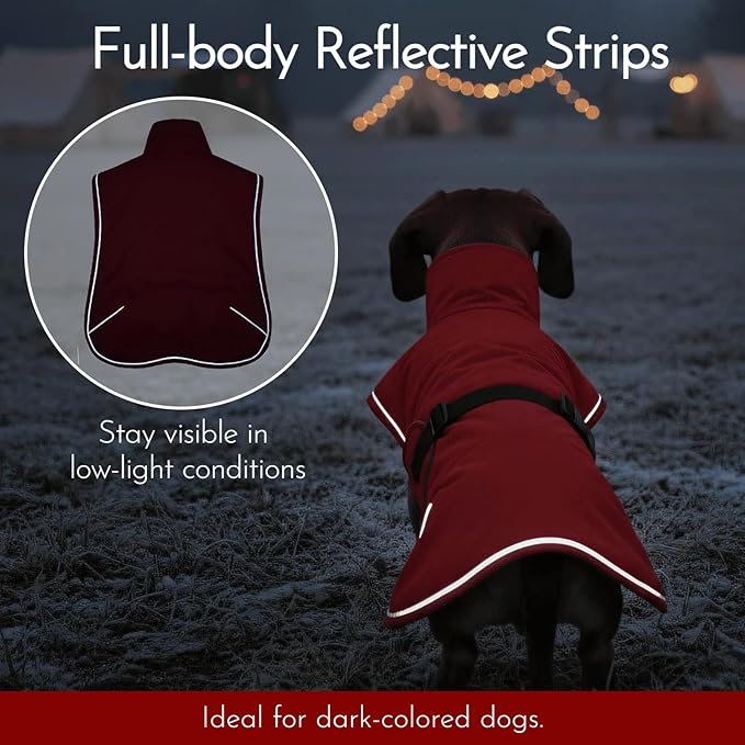 Waterproof & Windproof Dachshund Jackets with Adjustable Bands, Thick Weiner Vest Clothes for Large Sausage Dog, Weenie Winter Puffer Coat, Outdoor Snowsuit for Dachshunds, Small Medium Dog(Red, L)