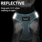 PUPTECK Dog Harness and Leash Set for Small Medium Dogs No Pull Step-in Soft Mesh Puppy Cat Vest Harnesses Reflective at Night, Sky Blue, S