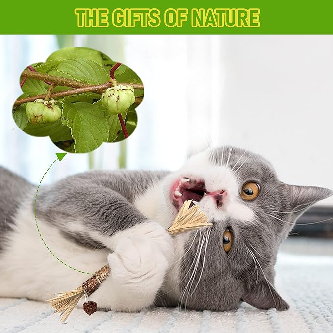1 Pack Silvervine Cat Toy, Silvervines Sticks Cat Toys for Indoor Cats, Cat & Kitten Chew Toys for Aggressive Chewers, Cat Dental Toy for Kitten Teeth Cleaning, Matatabi Silvervine for Cats