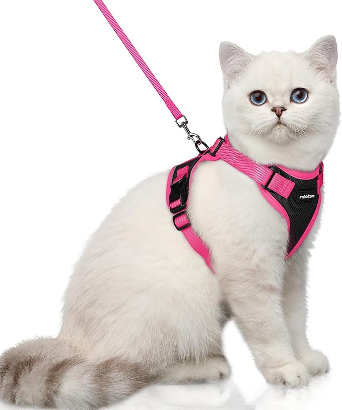rabbitgoo Cat Harness and Leash Set, Escape Proof Soft Adjustable Vest Harnesses for Outdoor Walking, Easy Control Breathable Kitten Jacket with Reflective Strips, Black & Rose Pink, XS