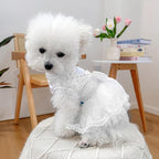 Fashion Sweet Puppy Dog Blingbling Princess Skirt Pet Dog Lace Cake Camisole Tutu Dress D-White XS