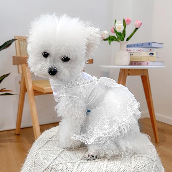 Fashion Sweet Puppy Dog Blingbling Princess Skirt Pet Dog Lace Cake Camisole Tutu Dress D-White L