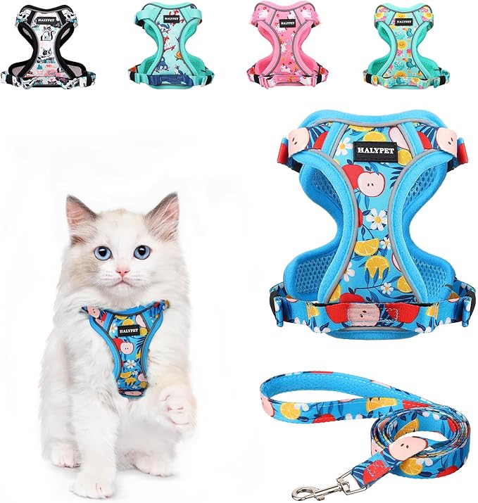Halypet Cat Harness and Leash Set[MAX Safety 4th-Gen] Cute Escape Proof Vest Harness for Girl&Boy Cat Walking, Comfortable Adjustable Leash and Reflective Strips for Outdoor Kitten, XS Azure Floral