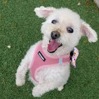 Best Pet Supplies Voyager Step-in Air All Weather Mesh Harness and Reflective Dog 5 ft Leash Combo with Neoprene Handle, for Small, Medium and Large Breed Puppies - Harness Leash Set (Pink), XS