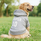 Custom Name Dog Hoodie, Personalized Pet Name Sweatshirt for Small Medium Large Dogs, Custom Dogs Winter Outfits