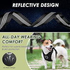 SlowTon Dog Seat Belt Harness for Car, Dog Car Harness Adjustable Mesh Breathable & Dog Seatbelt Safety Tether with Elastic Bungee for Small Medium Large Pets(Black, Double Clip, XXS)