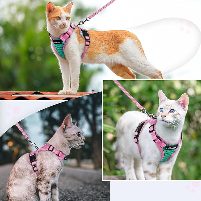 rabbitgoo Cat Harness and Leash Set, Escape Proof Soft Adjustable Vest Harnesses for Outdoor Walking, Easy Control Breathable Kitten Jacket with Reflective Strips, Green & Pink, XS