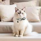 Reflective AirTag Cat Collar, Integrated Cat Collar with Air Tag Holder and Bell, Breakaway with QR Code Name Tag,Safety Elastic Band Cat Collars for Girl Boy Cats, Kittens and Puppies (Blue)