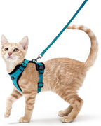 rabbitgoo Cat Harness and Leash for Walking, Escape Proof Soft Adjustable Vest Harnesses for Cats, Easy Control Breathable Reflective Strips Jacket, Teal, XS