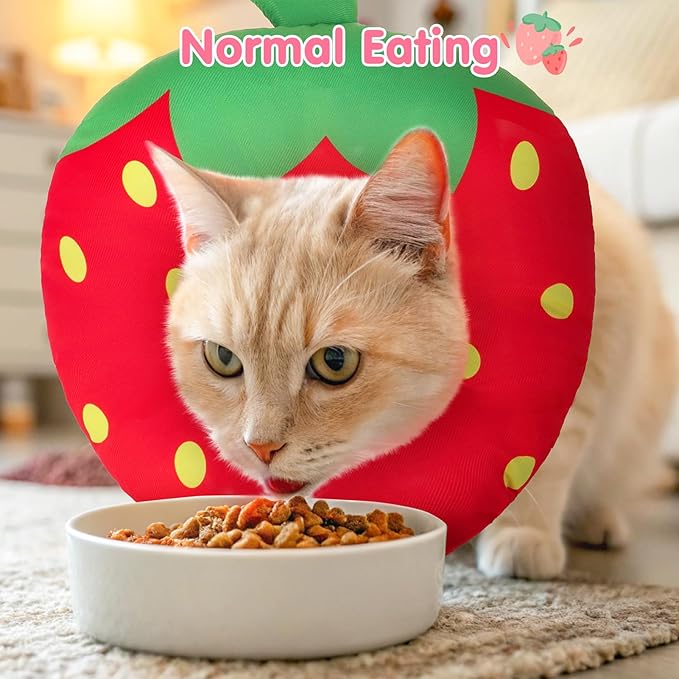 BEAUTYZOO Cat Cone Collars Soft, Cat Recovery E Collars After Surgery to Stop Licking, Adjustable Elizabeth Circle Collar Cute Pet Donut Pillow for Cats Kitten Small Dogs,Strawberry S
