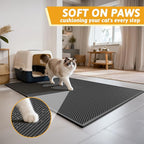 Pieviev Cat Litter Mat Double Layer Waterproof Urine Proof Trapping Mat 1 Pack (Black, 47x36 Inch (Pack of 1))