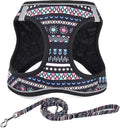 Step in Dog Harness and Leash Set, Reflective Adjustable No Pull Dog Harness for Small Medium Dogs Puppy and Cats, Soft Padded Mesh Vest Harnesses for Girl and Boy Pets(Black Bohemia,L)