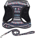 Step in Dog Harness and Leash Set, Reflective Adjustable No Pull Dog Harness for Small Medium Dogs Puppy and Cats, Soft Padded Mesh Vest Harnesses for Girl and Boy Pets(Black Bohemia,L)