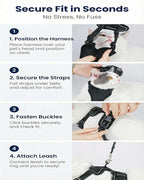 Luxelle 2 Pack Escape-Proof Cat Harness and Leash Set for Walking – Adjustable No Pull Soft Vest with Easy-Wear Buckle, Reflective Straps, Breathable Mesh – Outdoor Travel Harness for Cats & Kittens