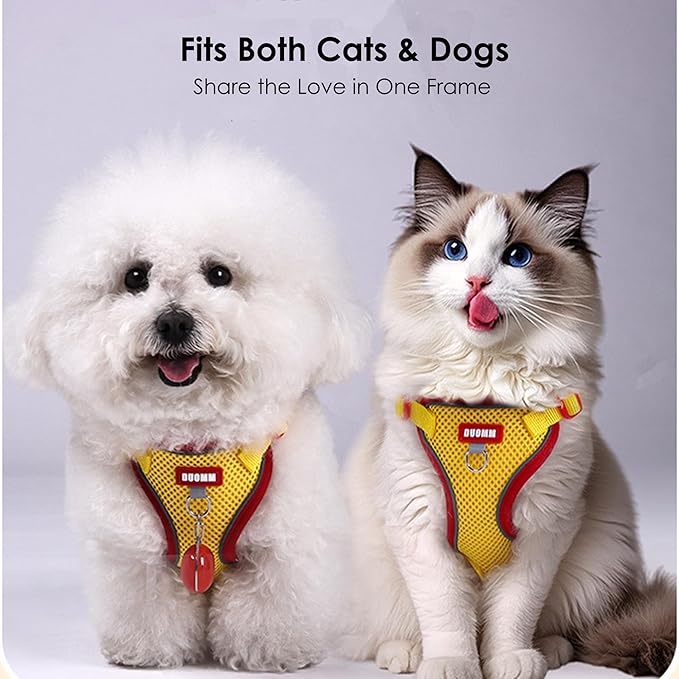 Cat Harness and Leash Set for Walking – Escape-Proof Reflective Vest for Cats and Small Dogs, Adjustable Soft Air Mesh with Pressure-Reducing Design, 4.92ft (Red & Yellow, L)