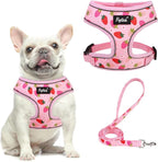PUPTECK Soft Mesh Dog Harness and Leash Set Pet Puppy Cat Comfort Padded Vest No Pull Harnesses, Strawberry Pink, M