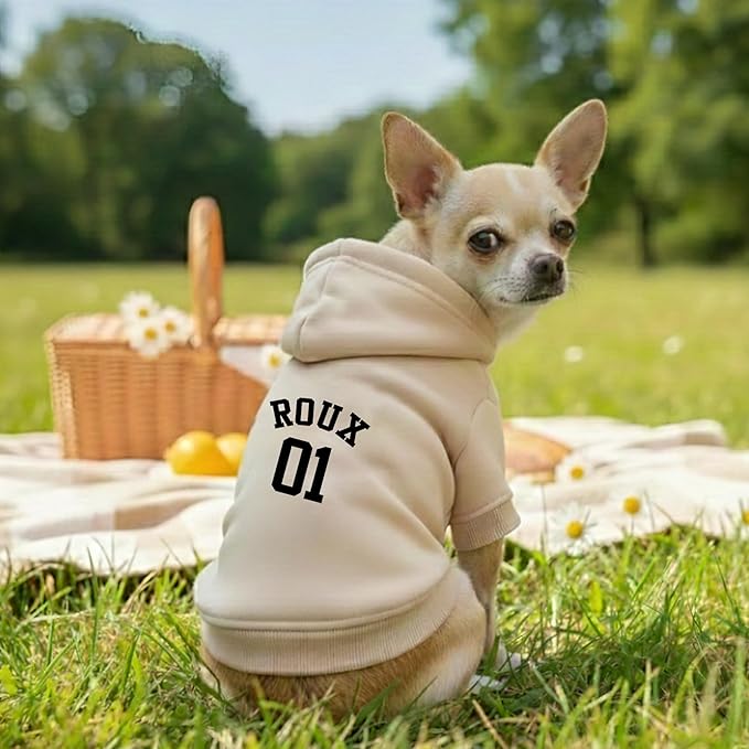 Personalized Name Dog Hoodie, Printed/Embroidered Puppy Sweater with Name/Text, Custom Pet Clothes Warm Winter Outfit for Dogs, Bright Puppy Sweatshirt, Pet Birthday Outfit, Gift for Dog Lovers 03