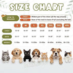 Personalized Dog Hoodie, Custom Embroidered Name Pet Hoodie, Warm Winter Outfit for Dogs, Pet Clothes, Gift for Dog Lovers 1