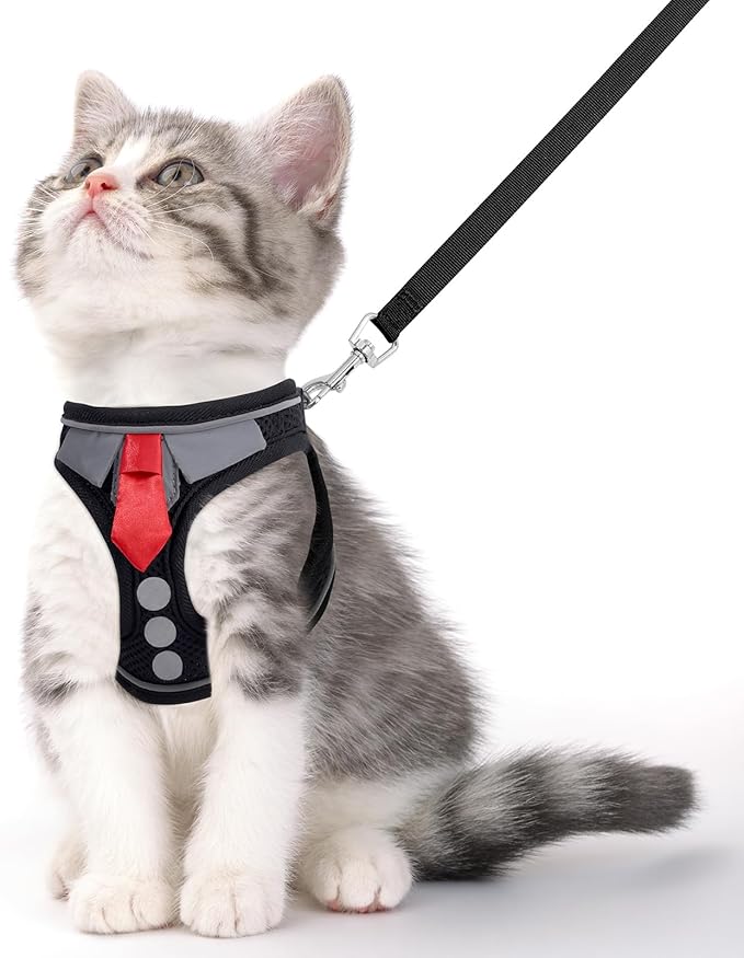 Cat Harness and Leash Set for Walking Escape Proof, Soft Adjustable Kitten Harness Breathable Mesh with Reflective Strips Harness for Kitty Puppy Bunny (Black, Small)