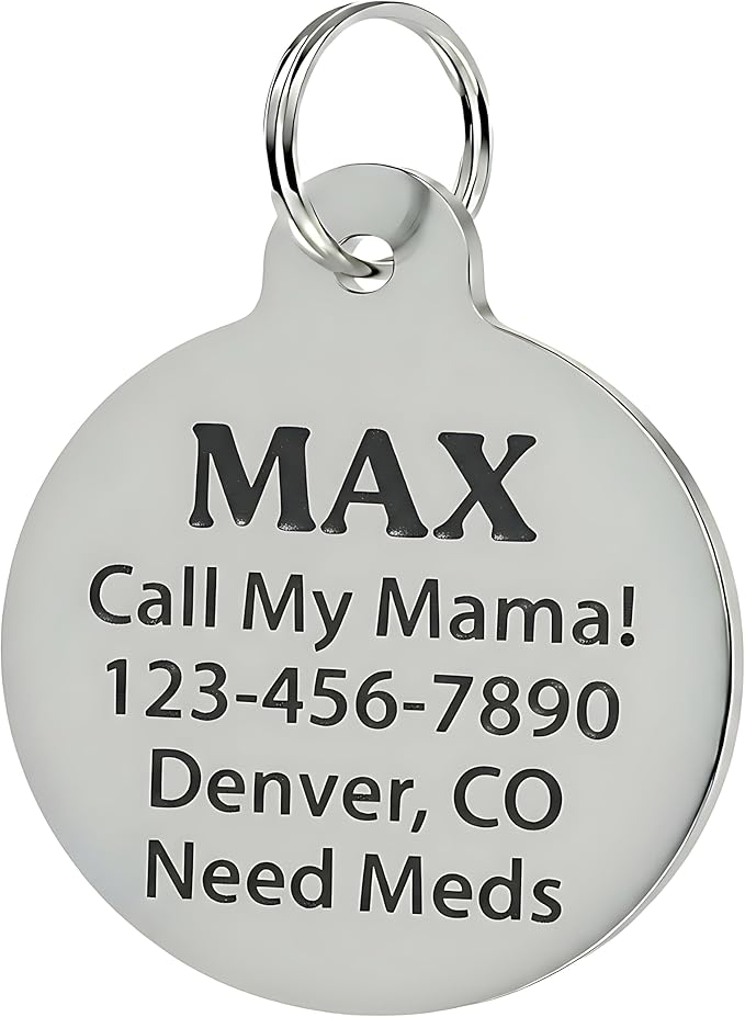 Bad Tags Personalized Dog and Cat ID Tags in 25+ Designs and 2 Sizes - 5 Lines of Custom Engraved Text - Funny Cute Personalized Pet Tags (Fetch These, Small (1 inch))