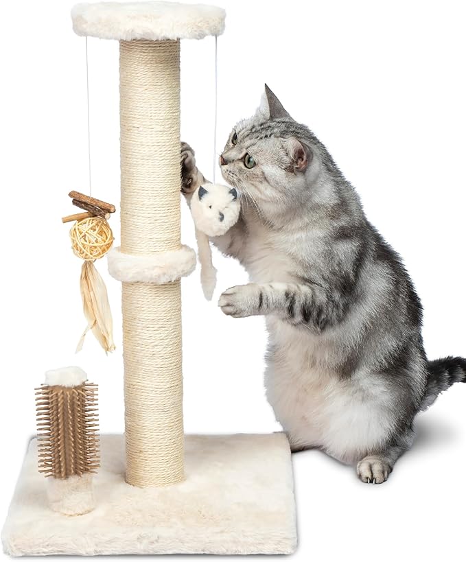 Best Pet Supplies Catify Cat Scratcher, Fun Interactive Scratchers, Posts, Poles, Claw Safe, Furniture Saver Indoor Play Support Natural Cat Behaviors Heavy Duty - Beige
