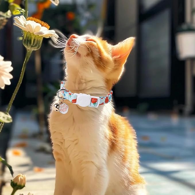 Unique Style Paws Kitten Collar,Cute Cat Collar with Bell,Kitten Collar Breakaway Buckle with Strawberry,Pumpkin Pattern,Adjustable Halloween Cat Collar,Ideal Gift for Boy Girl Cats