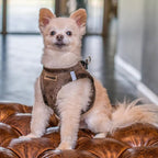 Best Pet Supplies - All Weather Plush, Reflective, No Pull Harness for Small, Medium Dogs, Cats - Secure with Hook & Loop Fastener, Buckle, Double D-Rings - Chocolate Suede, M