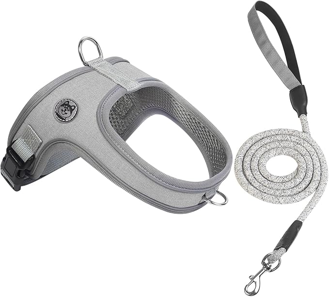 Dog Harness and Leash Set, No Pull Saddle Style Pet Harness, Breathable Mesh Adjustable Reflective Dog Vest for Dogs and Cat Medium Small Harness 2 D-Rings (Grey, S)