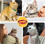 Taglory Kitten Collar Breakaway with Bell, 2 Pack Girl Boy Pet Kitten Collar Adjustable 6-8 Inch for 2-6 Months Cat, Black