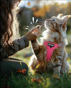 FAYOGOO Cat Harness, Cat Leash and Harness Set for Walking Escape Proof, Harness for Small Cats/Small Dogs, Large Kitten/Puppy Harness and Leash, Harness for Cats S-XXL(Pink, XX-Large)