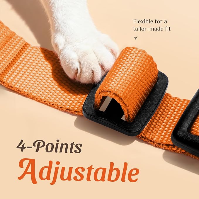 Dooradar Cat Harness and Leash Set, Escape Proof Safe Adjustable Kitten Vest Harnesses for Walking, Easy Control Soft Breathable Mesh Jacket with Reflective Strips for Cats, Orange, XXS
