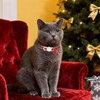 Cat Collar-2Pack Autumn Orange Plaid Kitten Collars-Halloween Plaid Breakaway Kitty Collars-Cute Kitty Pendants,Yellow Orange Grid Cat Collar with Bell, for Girl & Boy Cats