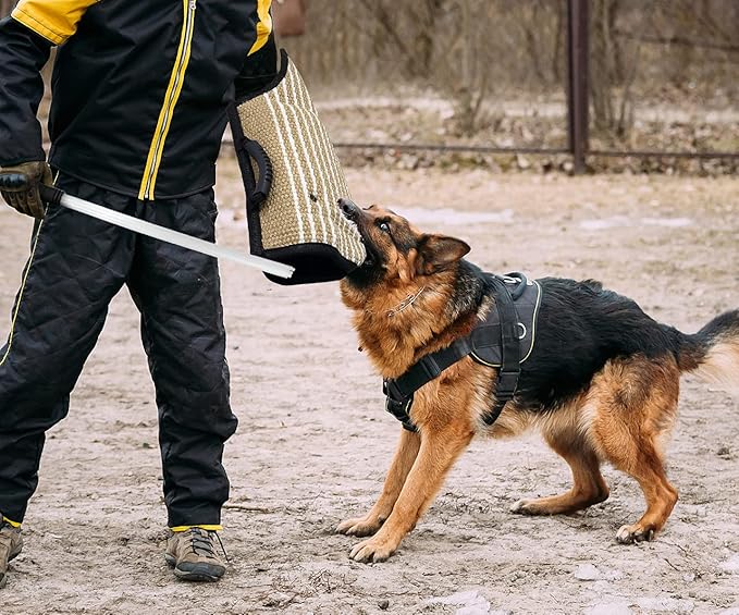 Professional Dog Bite Training Set 3 in 1 Dog Bite Sleeve Arm + Whip Agitation Stick for Dogs Training Protection for Biting + Dog Bite Pillow Tug Toy, Interactive K9 Pitbull German Shepherd Puppy