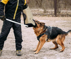 Professional Dog Bite Training Set 3 in 1 Dog Bite Sleeve Arm + Whip Agitation Stick for Dogs Training Protection for Biting + Dog Bite Pillow Tug Toy, Interactive K9 Pitbull German Shepherd Puppy
