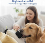 Race&Herd Original Dog Scent Training Kit, Scent Work Training Kit for Dogs - Nosework for Dog Mental Stimulation Agility Training Equipment for Dogs, Brain Games Smell Training Kit for Loss of Smell