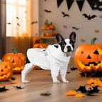 NACOCO Halloween Ghost Dog Costume - Pet Christmas New Year Hoodie Warm Party Coat Outfit for Small and Medium Cat Dog Clothes(White Ghost,L)