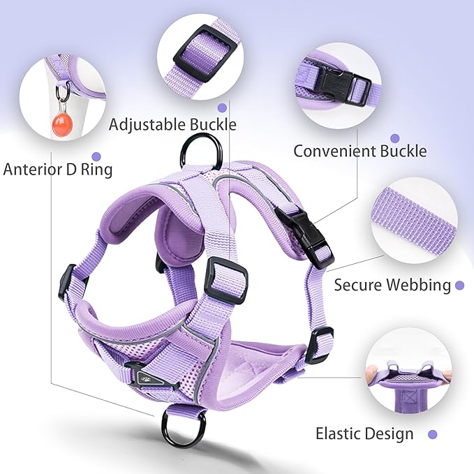No Pull Dog Harness with Leash Set for Small Sized Dog, Reflective Adjustable No Choke Front Clip Cat Vest Harness with Breathable Mesh, Comfortable Soft Padded Pet Vest, Purple L