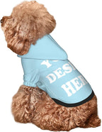 Personalized Dog Hoodie, Custom Dog Costumes for Small Dogs, Holiday Happy Dog Clothes Football Pet Shirt Sweater with Name Number for Girl/Boy Cats/Kitten, LightBlue, M