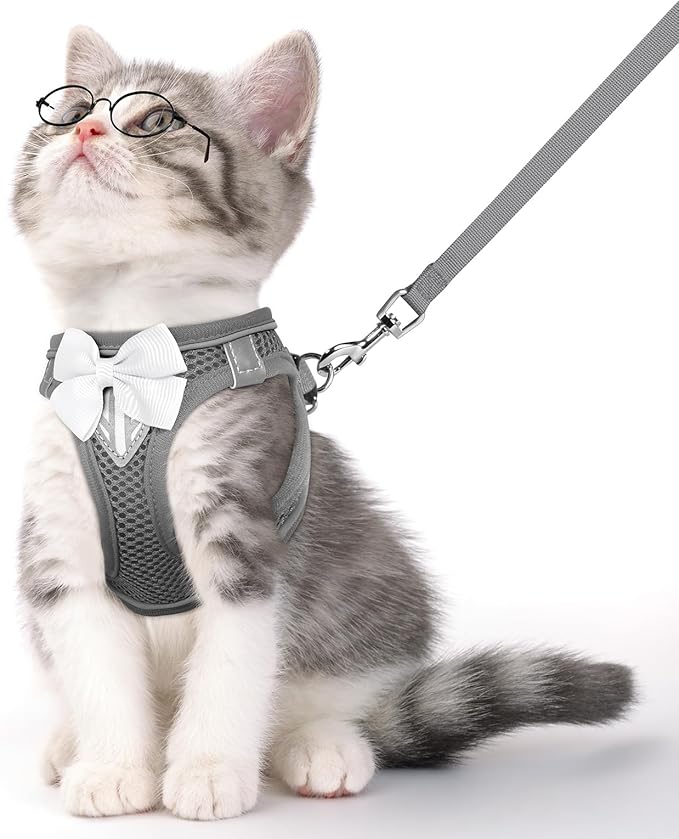 Cat Vest Harness and Leash Set for Walking Escape Proof, Adjustable Kitten Harness Breathable Mesh with Reflective Strips Harness for Kitty Puppy Bunny (Grey,XS)