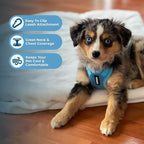 Voyager Step-in Pet Harness - All Weather Mesh, Adjustable Step in Harness for Cats and Dogs by Best Pet Supplies - Baby Blue, S
