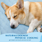 Upgraded Self-Cooling Mat for Dogs & Cats - Thicken, Washable, Non-Toxic, Foldable & Non-Slip Dog Cooling mat Pet Cooling Pad for Indoor, Outdoor, Car- Perfect for Summer (Blue, 20"*30"(Medium))
