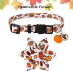 ADOGGYGO Thanksgiving Cat Collars with Removable Flower Bell, Adjustable Thanksgiving Fall Pumpkin Floral Collars for Girl Cats & Kittens