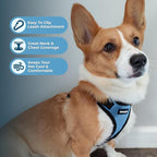 Voyager Step-in Pet Harness - All Weather Mesh, Adjustable Step in Harness for Cats and Dogs by Best Pet Supplies - Baby Blue/Black Trim, XS